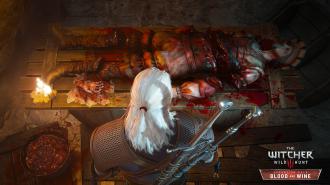 The_Witcher_3_Wild_Hunt_Blood_and_Wine_Need_a_hand_RGB_EN.jpg