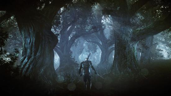 The_Witcher_3_Wild_Hunt_Geralt_alone_in_a_deep_and_dark_forest.jpg